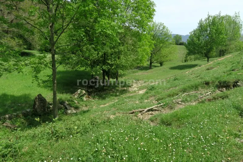 Sallent de Pibernat Falgars d’en Bas, Girona