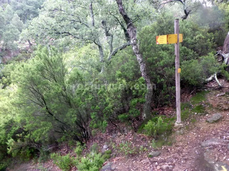 Salt del Fitó o Barranco de Portús o El Llobregrat d’Empordà