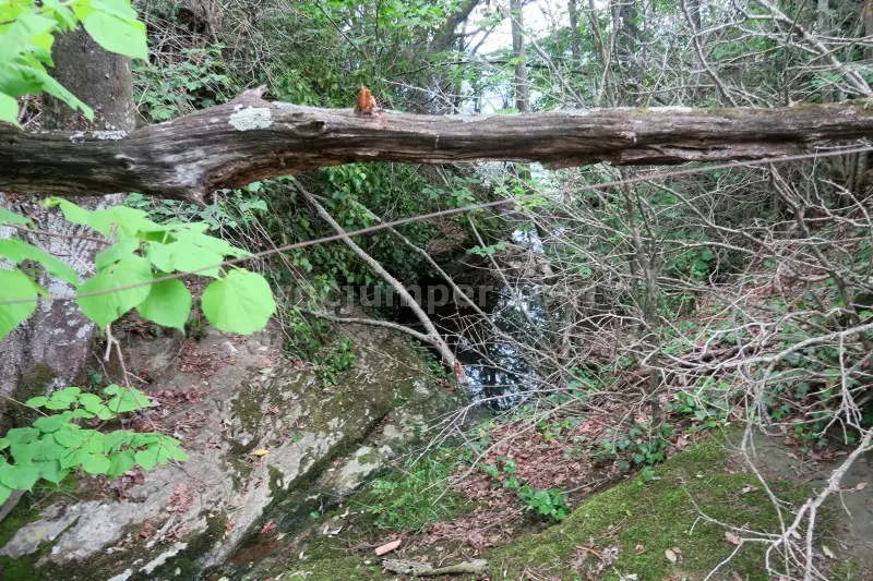 Salt de la Freixedella Falgars d’en Bas, Girona