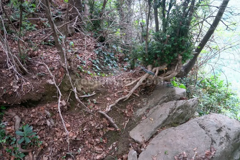 Salt de la Freixedella Falgars d’en Bas, Girona