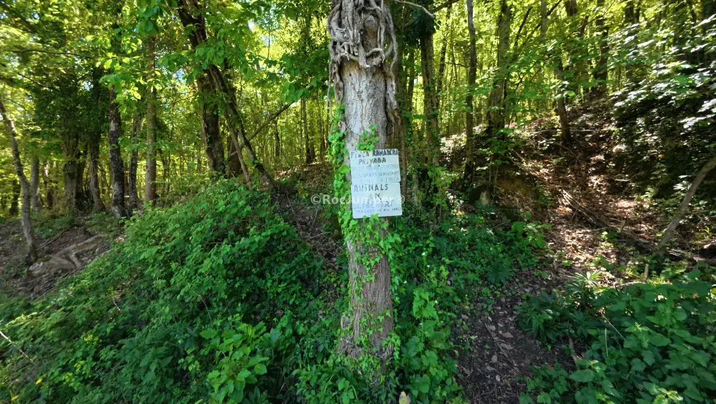 Salt del Mir o el Tombo