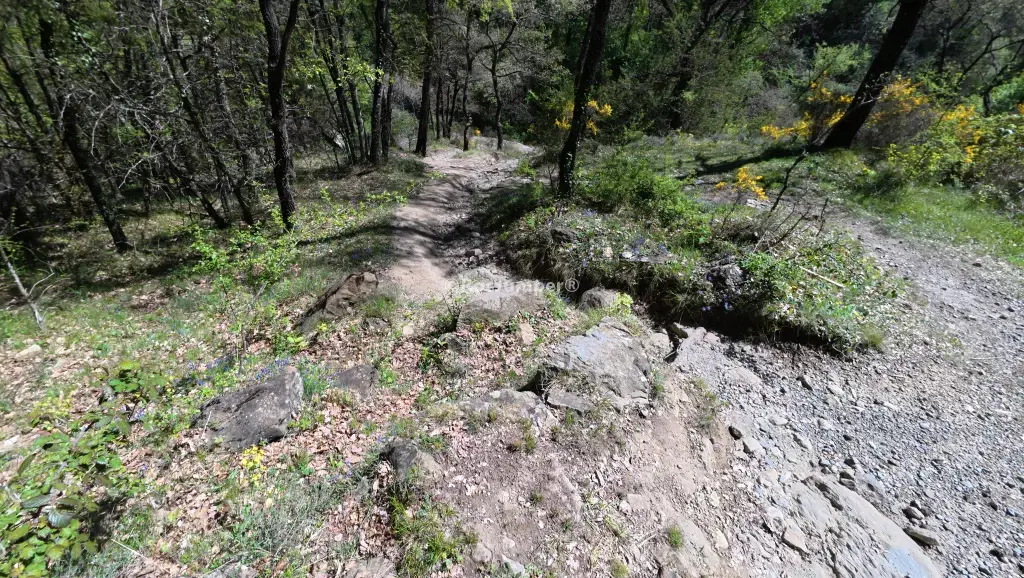 Salt del Mir o el Tombo