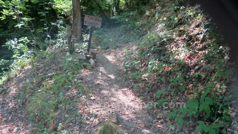 Salt del Pi
