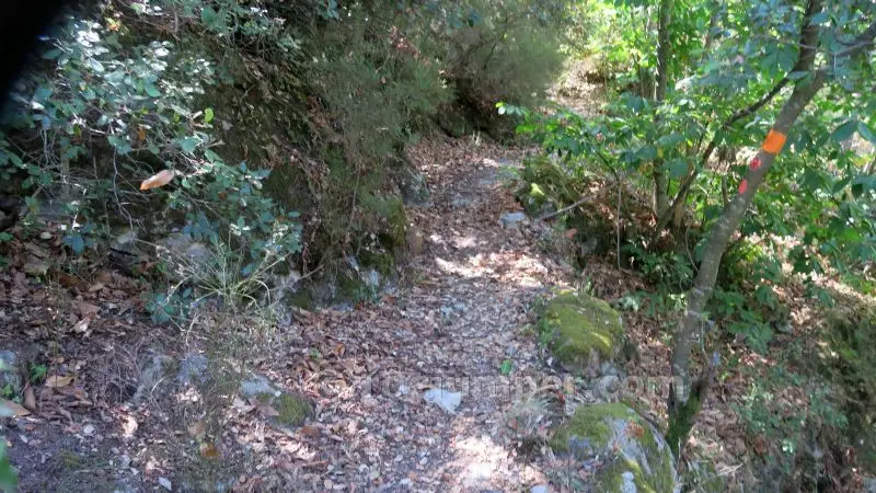 Salt del Pi