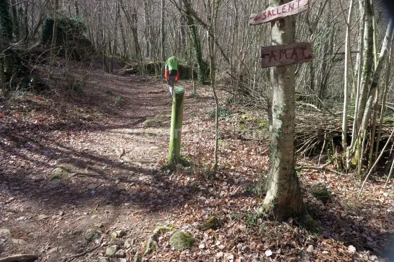 Salt de Sallent o Gurn Sant Privat d’en Bas, Girona