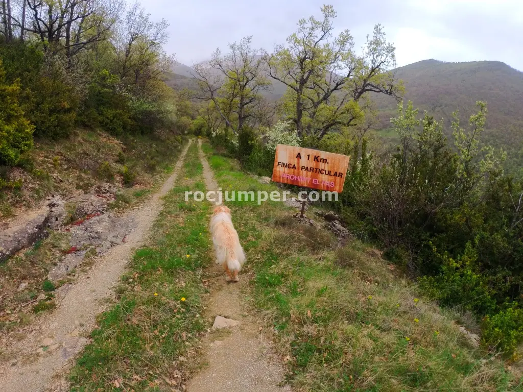 Barranc del Solà