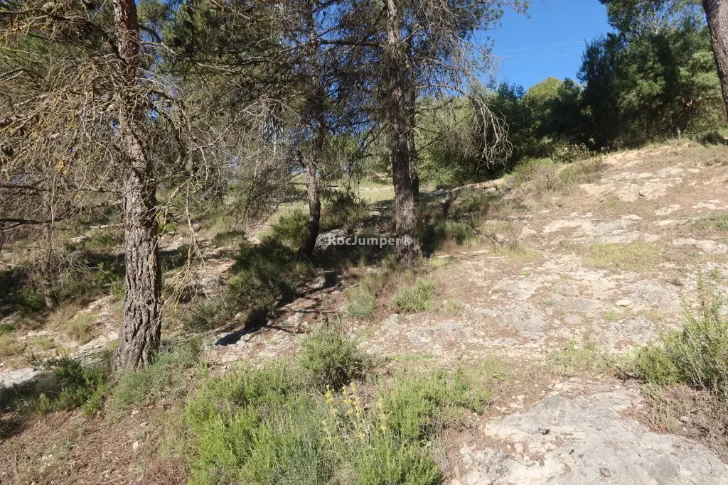 Barranco de Soler
