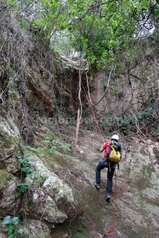 Barrancs Els Sots Feréstecs de Montmany