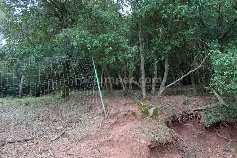 Barrancs Els Sots Feréstecs de Montmany