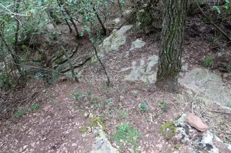 Barrancs Els Sots Feréstecs de Montmany