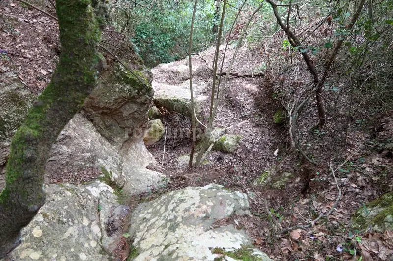 Barrancs Els Sots Feréstecs de Montmany