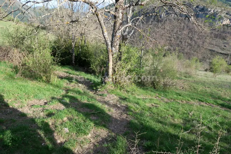 Barranc de Teixidor o Sallent de Viu + Barranc de Viu de Llevata