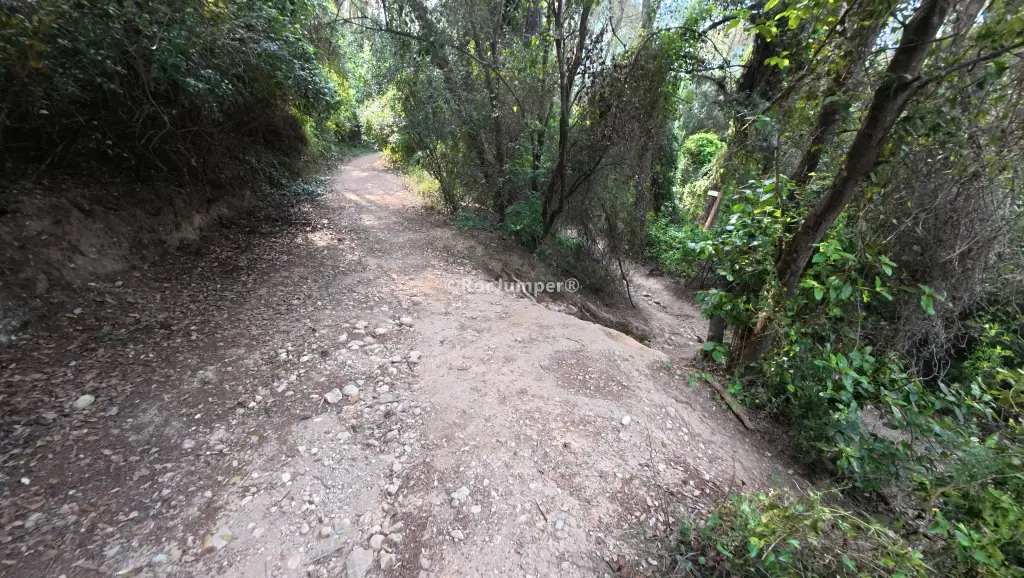 Torrent de la Bleda