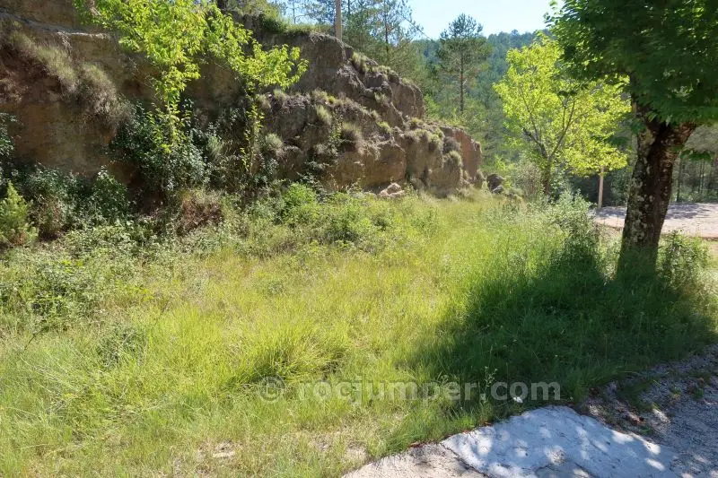 Torrent de Bosoms