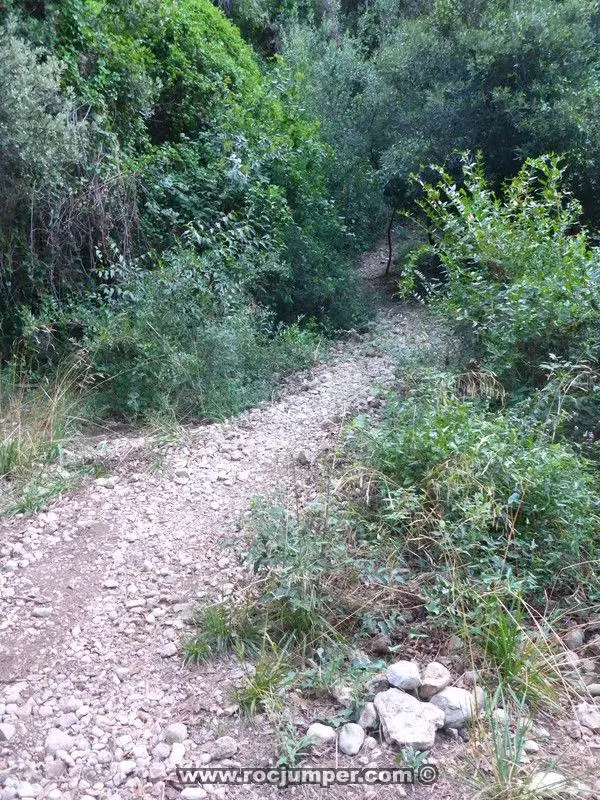 Torrent dels Bugaders + Clot de Sajolida + Torrent del Pont Montserrat, Barcelona 3 en 1