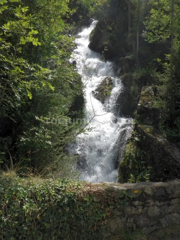 Torrent de la Calç