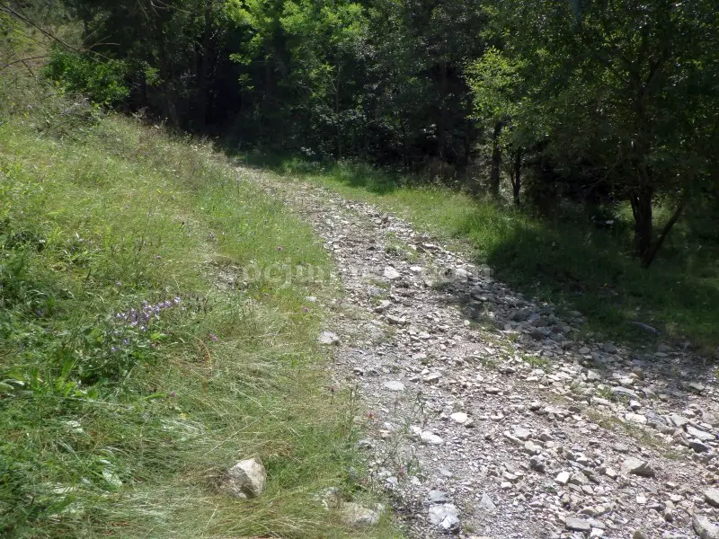 Torrent de la Calç