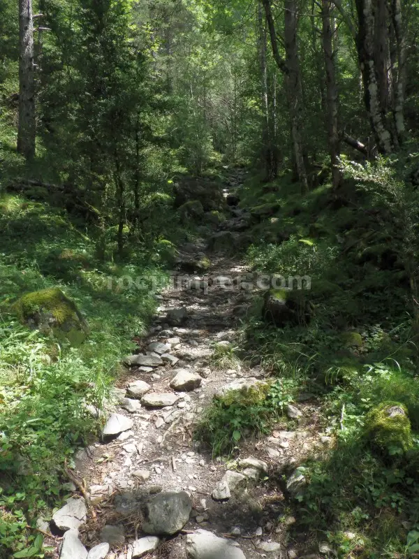 Torrent de la Calç