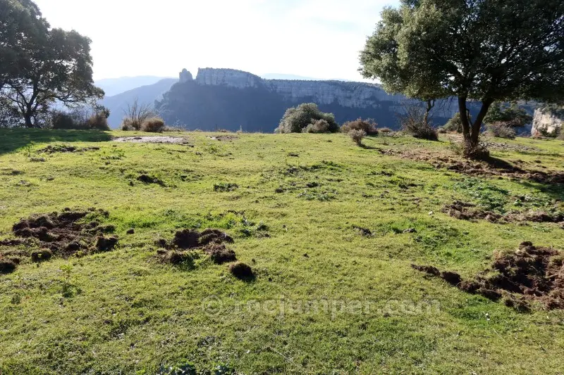 Torrent de Casadevall o Salt de Ripol