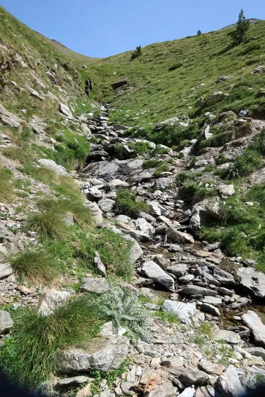 Torrent de la Coma del Gispet