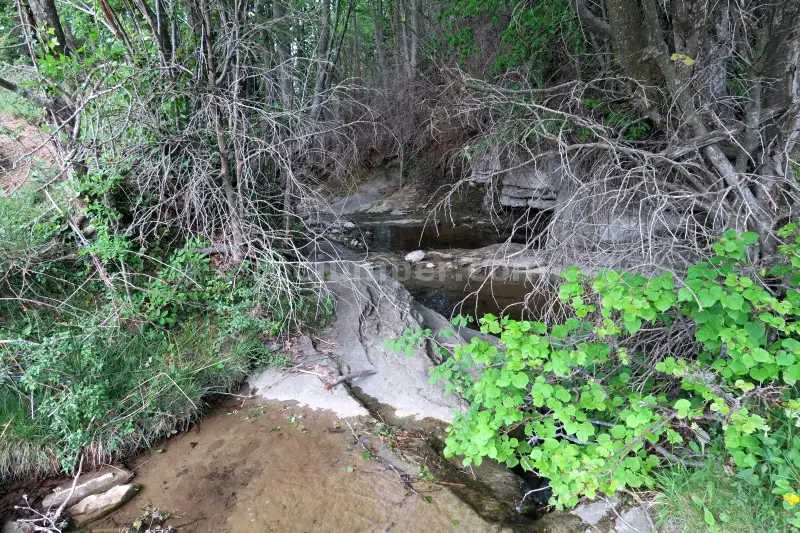 Torrent de la Cua d’Euga Falgars d’en Bas, Girona