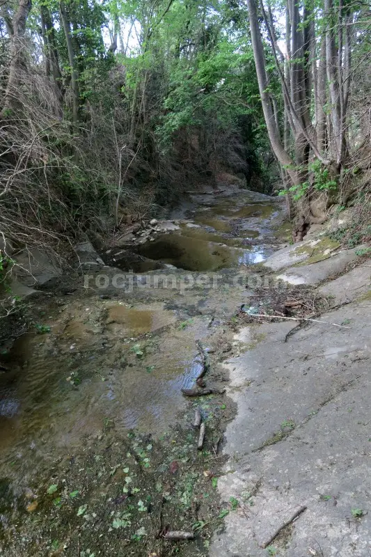 Torrent de la Cua d’Euga Falgars d’en Bas, Girona