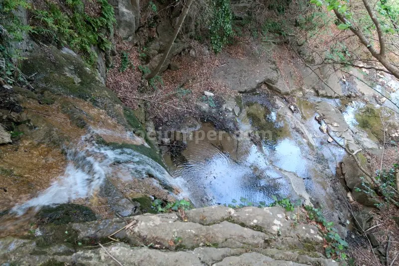 Torrent de la Cua d’Euga Falgars d’en Bas, Girona
