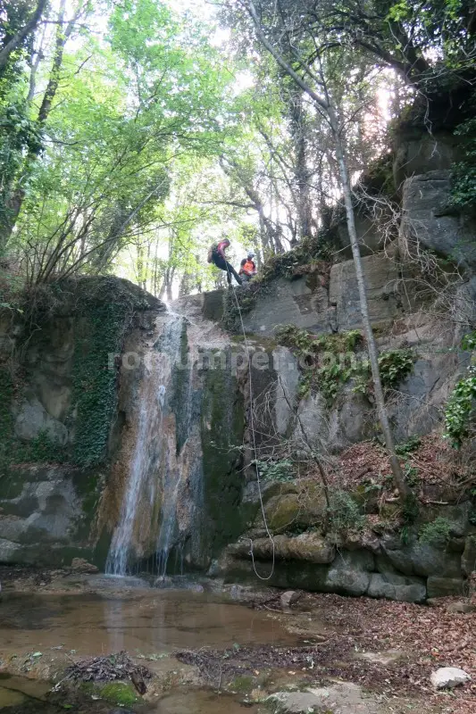 Torrent de la Cua d’Euga Falgars d’en Bas, Girona
