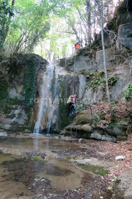 Torrent de la Cua d’Euga Falgars d’en Bas, Girona