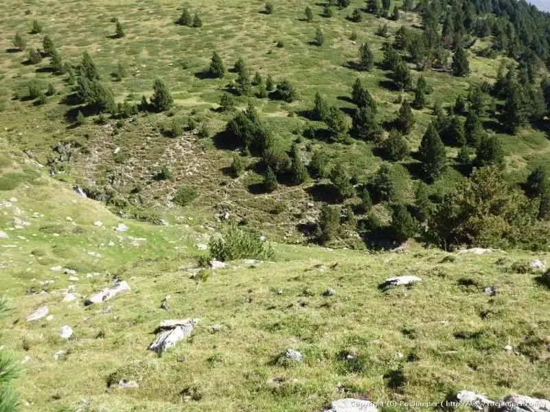 Torrent de Fontalba Queralbs, Girona Acuático