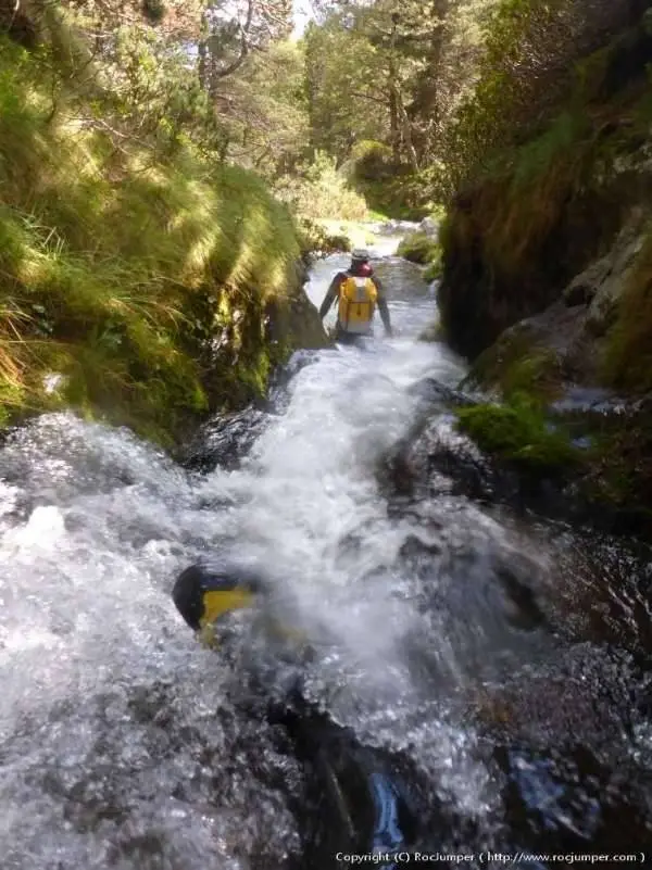 Torrent de Fontalba Queralbs, Girona Acuático
