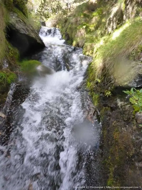 Torrent de Fontalba Queralbs, Girona Acuático