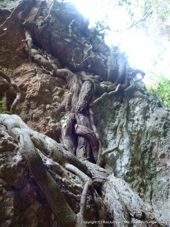 Torrent del Rajant