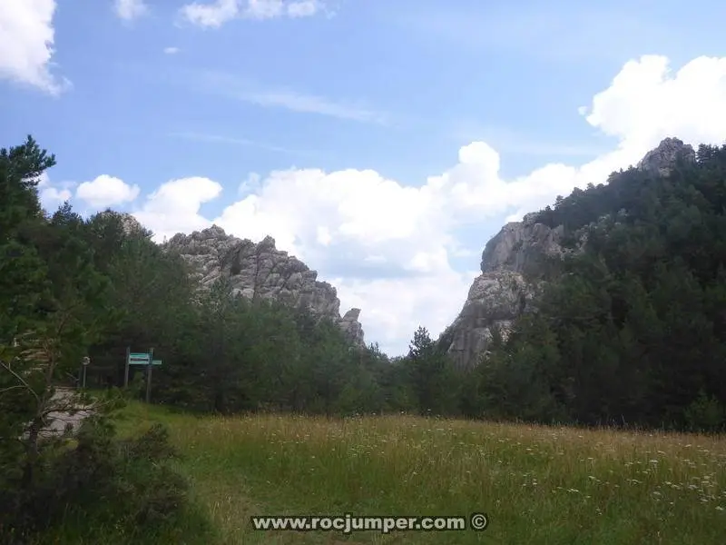 Torrent de Forat Negre