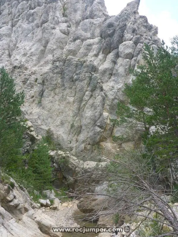 Torrent de Forat Negre
