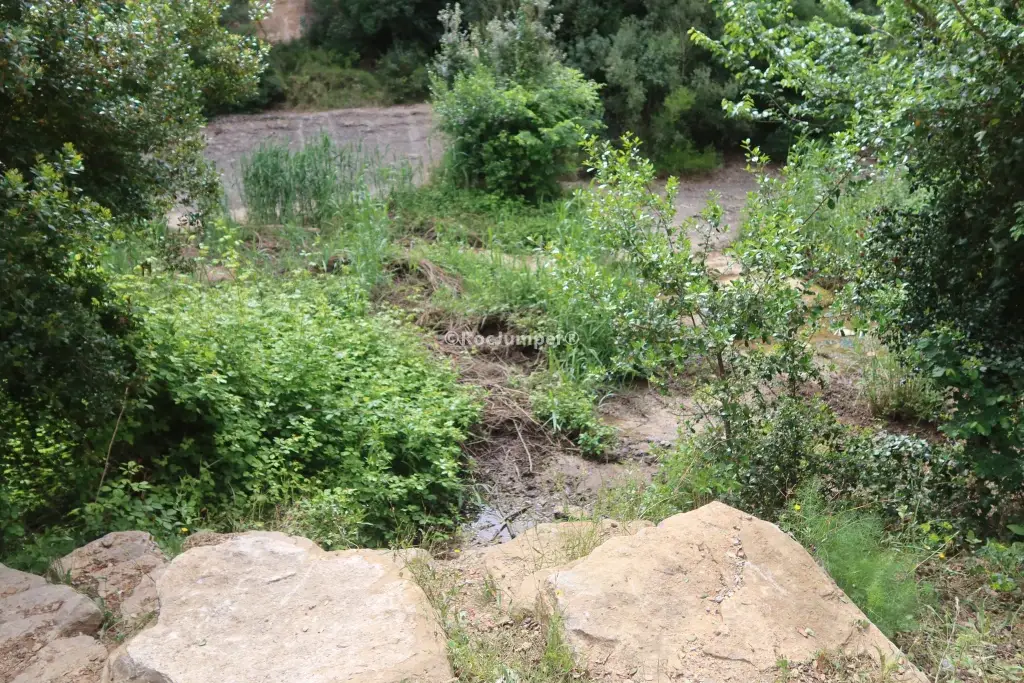 Barranco Torrent del Gat Menjat o Bauma de l’Onyó Riells del Fai, Barcelona