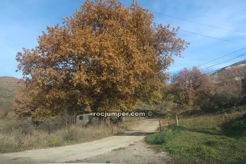 Torrent de Muiols