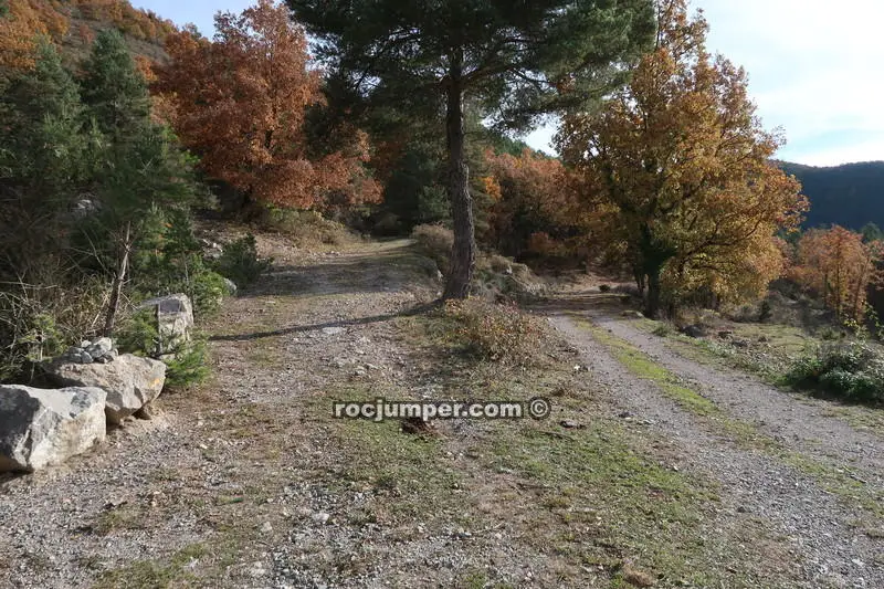 Torrent de Muiols
