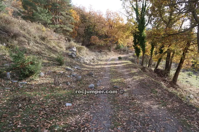 Torrent de Muiols