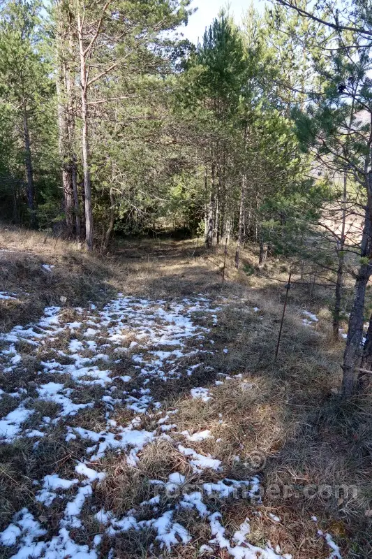 Torrent de Pujal o Cal Clot