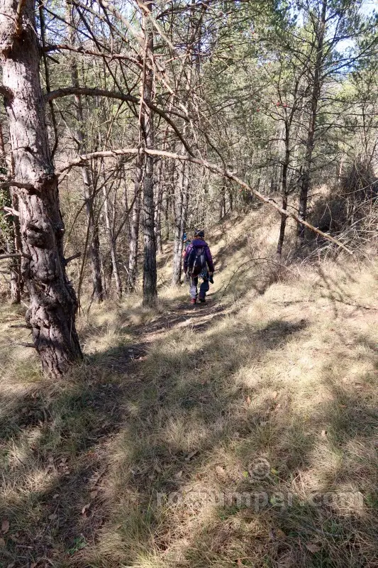 Torrent de Pujal o Cal Clot