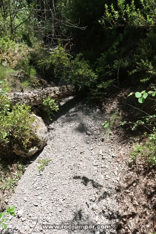 Torrent de les Tines o Clot de les Tines
