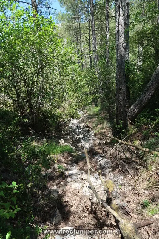 Torrent de les Tines o Clot de les Tines