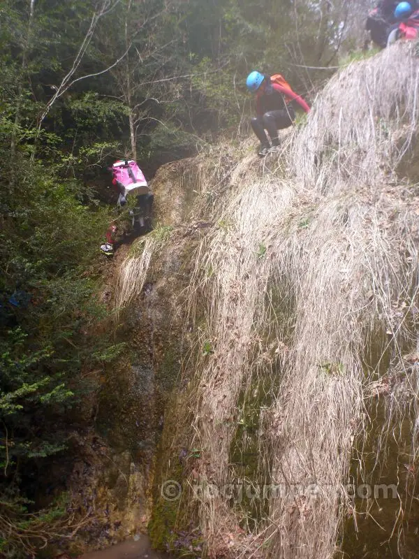 Torrent de Vilacireres por Torrent de Cal Pelegrí