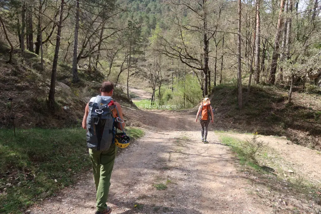 Rasa dels Tossals
