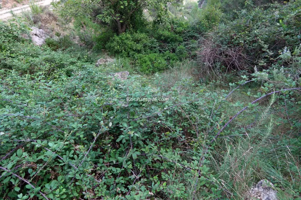 Canal de la Truja