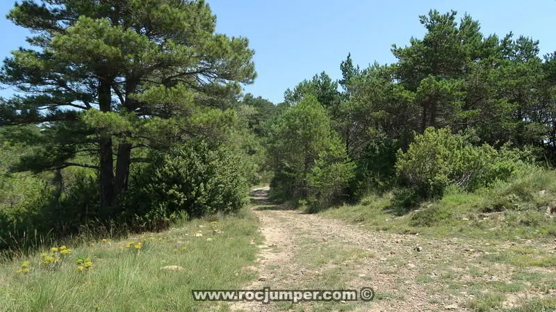 Barranc Vall de la Bassa Superior