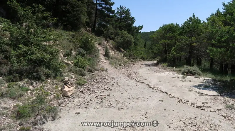 Barranc Vall de la Bassa Superior