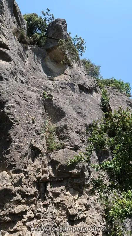 Barranc Vall de la Bassa Superior