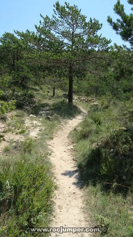 Barranc Vall de la Bassa Superior